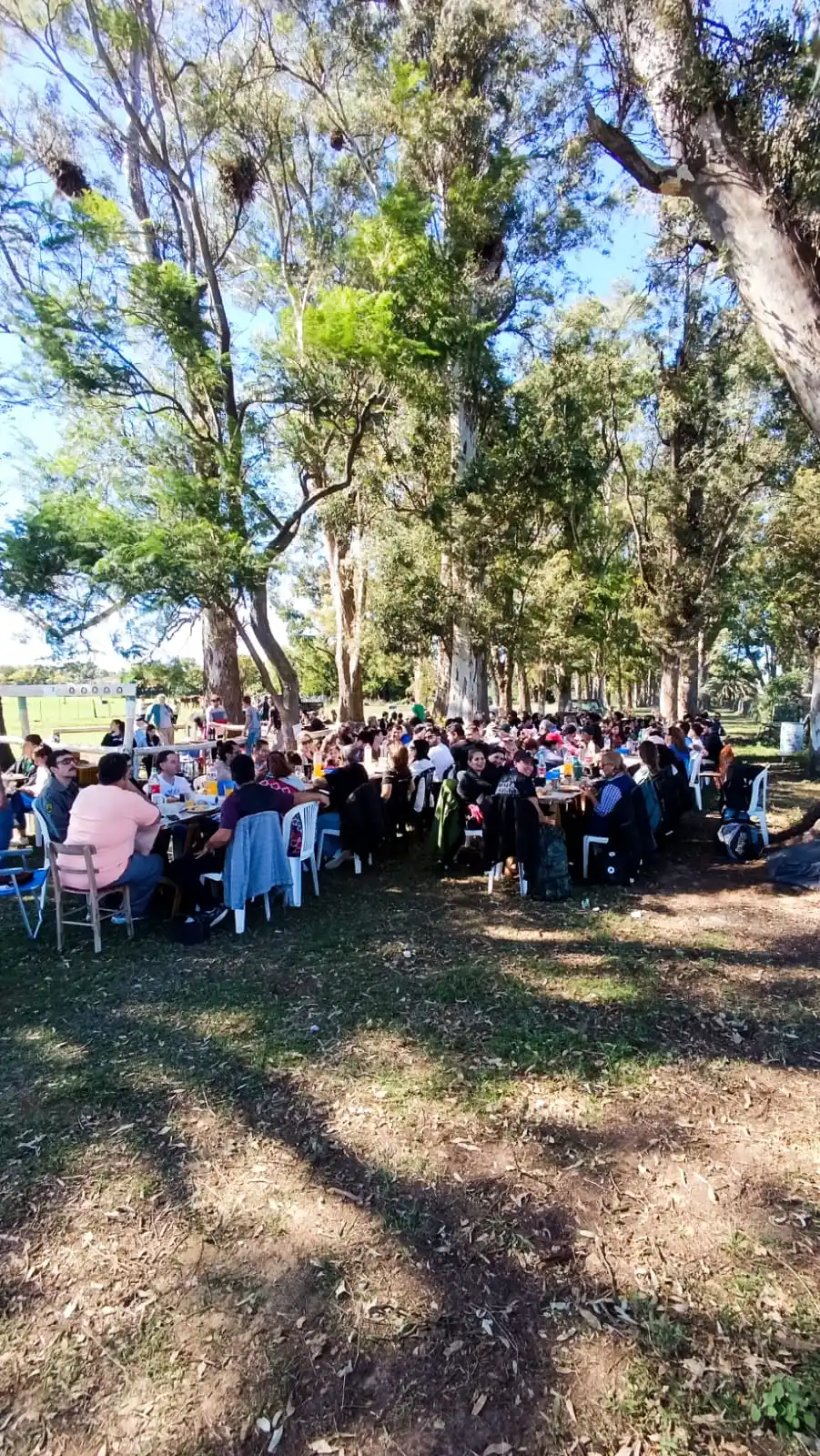 motoasado san vicente - 4