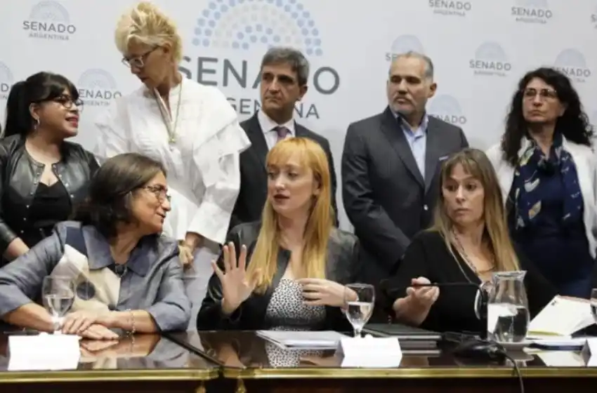 El Frente de Todos reclama su lugar en el Congreso de la Magistratura