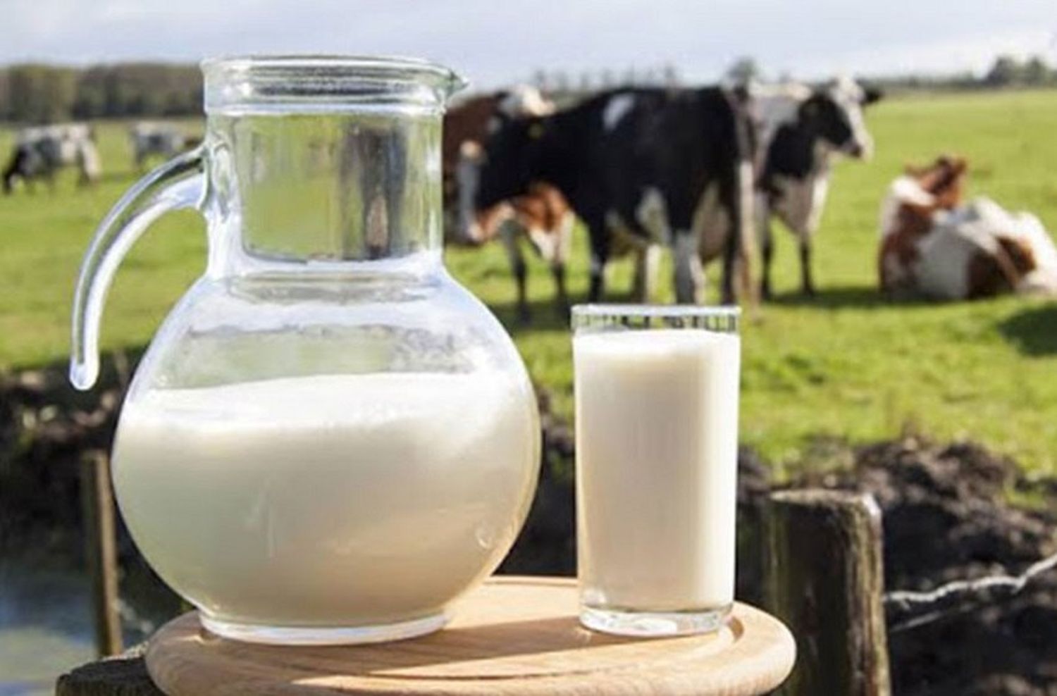 Día Mundial de la Leche: 5 cosas que quizá no sabías sobre la leche