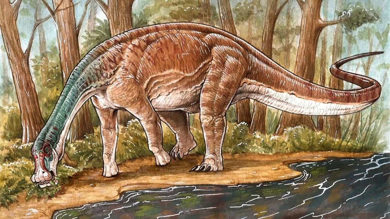 El Conicet descubrió una nueva especie de dinosaurio en Neuquén