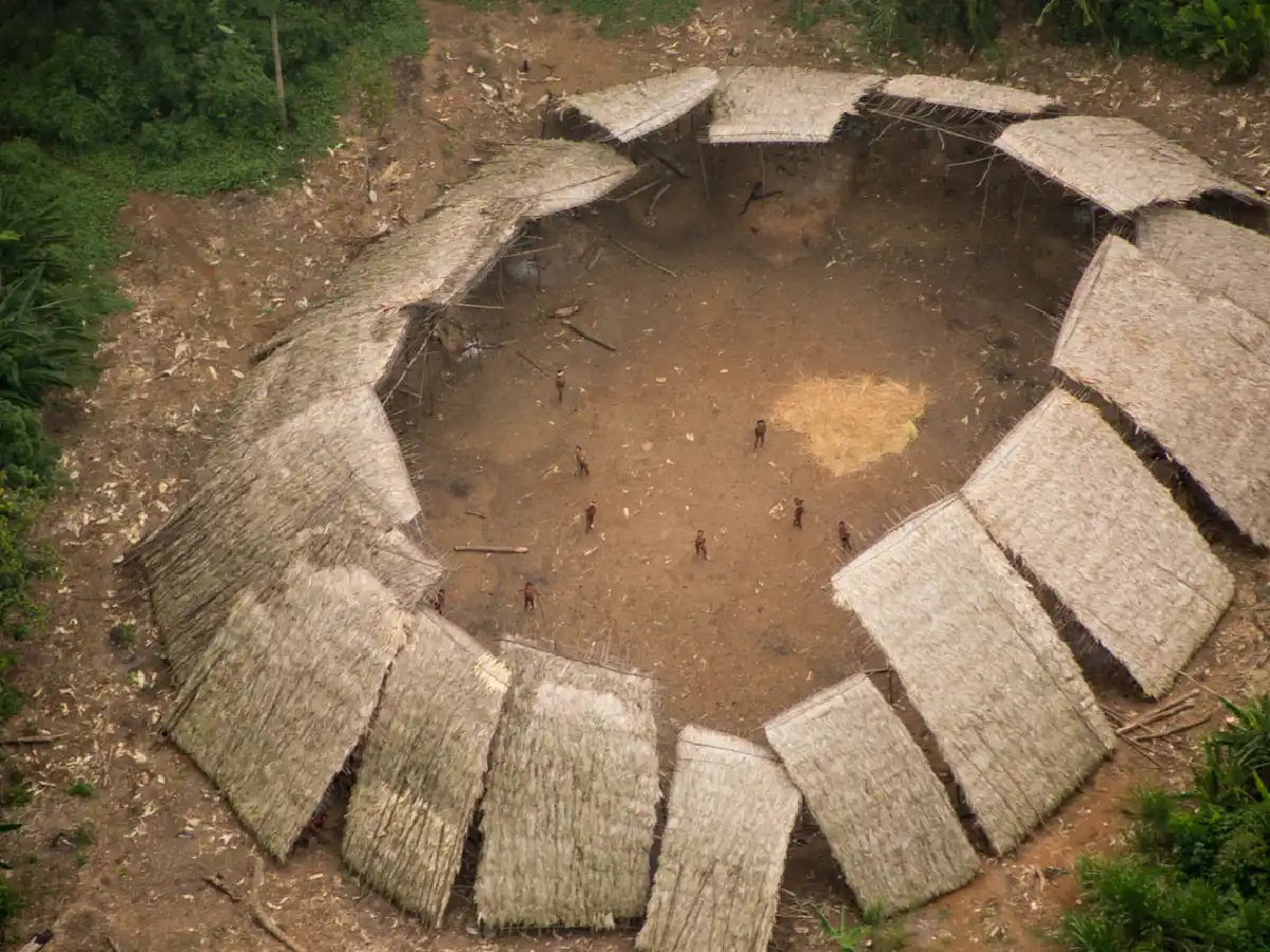 Pueblos indígenas no contactados corren peligro de aniquilamiento en Brasil