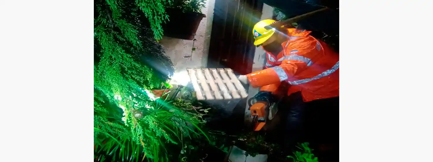Temporal: la caída de un árbol provocó una fuga de gas en una vivienda