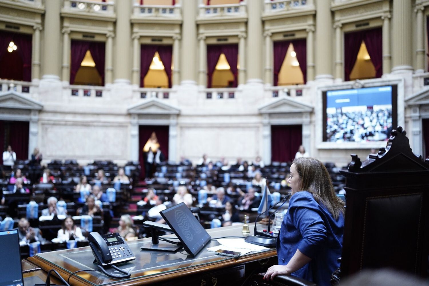 Cecilia Moreau convocó a todos los diputados “para tratar temas que están en la agenda de la gente”