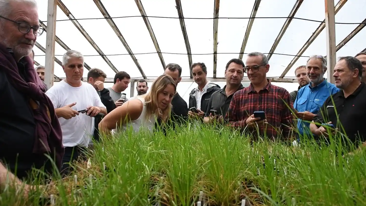 raigras jornada gigon - 1