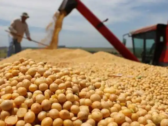 Fuerte volatilidad en el mercado de soja tras anuncios de Trump