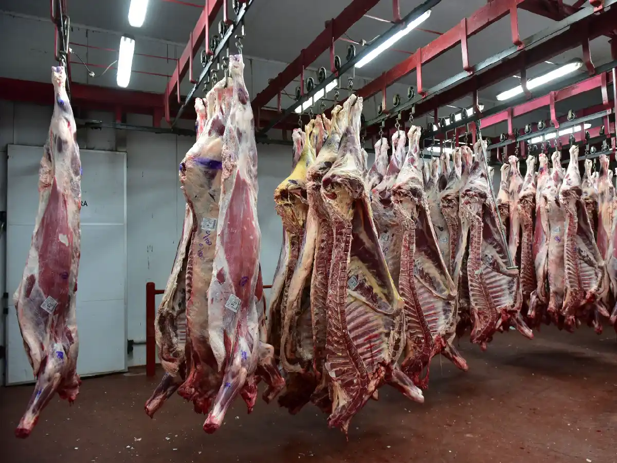 El Gobierno anuncia un Plan Ganadero y un nuevo esquema exportador de carne vacuna