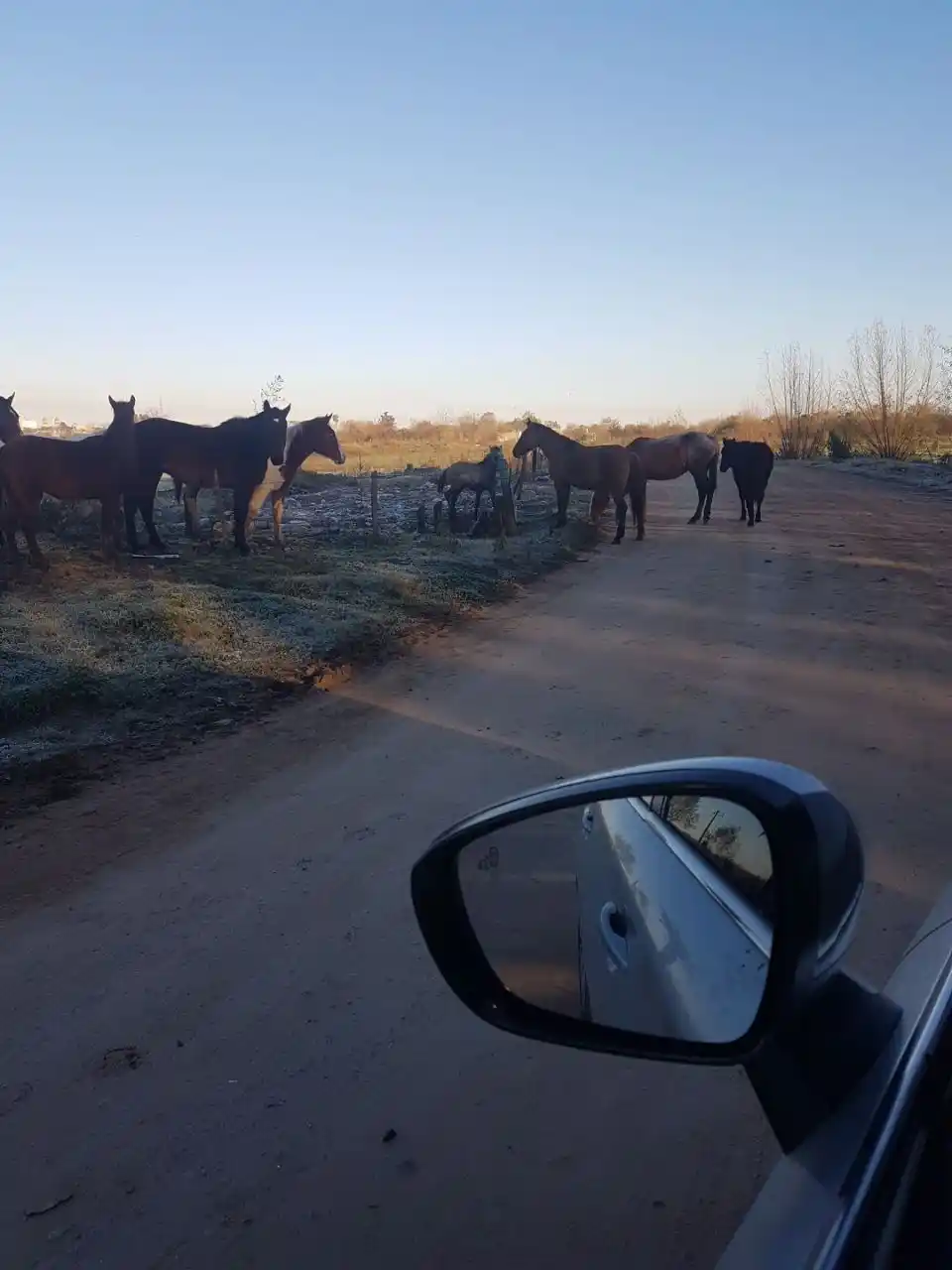 Prestadores turísticos del Camino de la Península volvieron a reclamar mejoras
