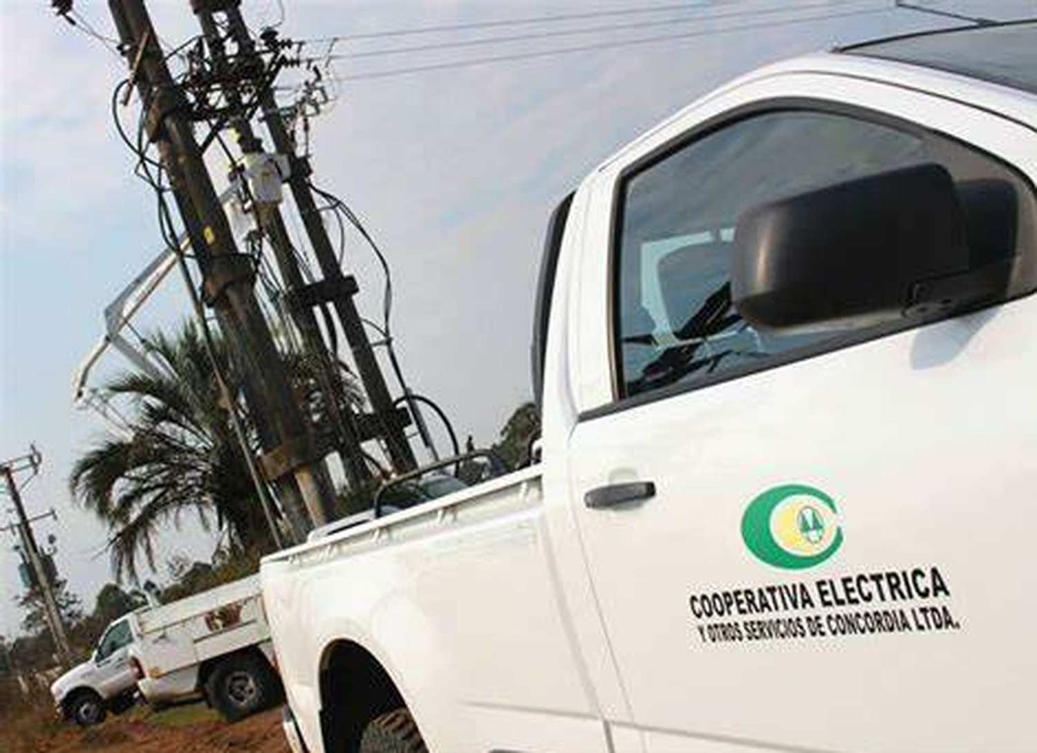 Corte de energía por caída de postes en zona de Colonia Ayuí