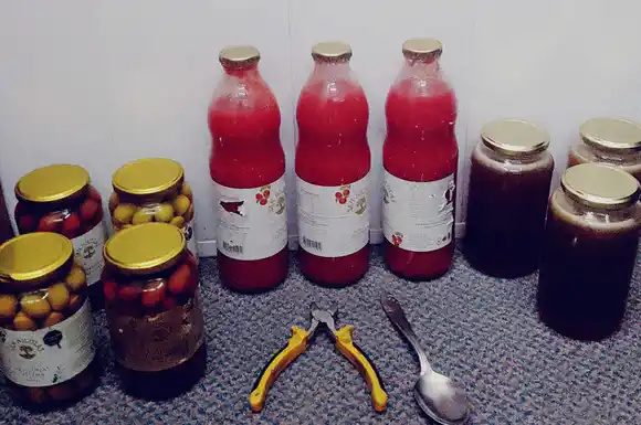 Cayó con varios frascos de aceitunas, puré de tomate y miel: robó todo en una escuela sobre Ruta 70