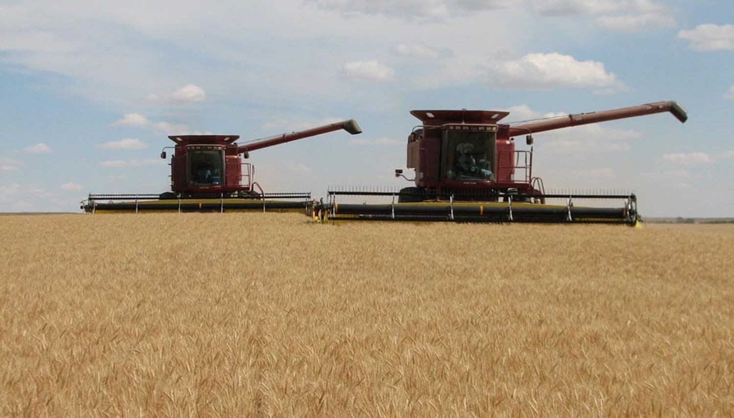 Finalizó oficialmente la cosecha de los cereales de invierno, trigo y cebada