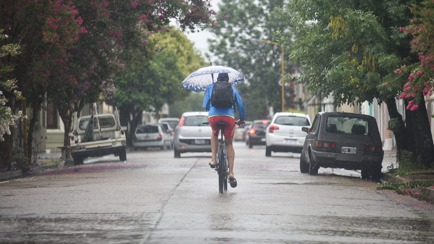 Continúan las lluvias en la ciudad este viernes: Cómo estará el fin de semana