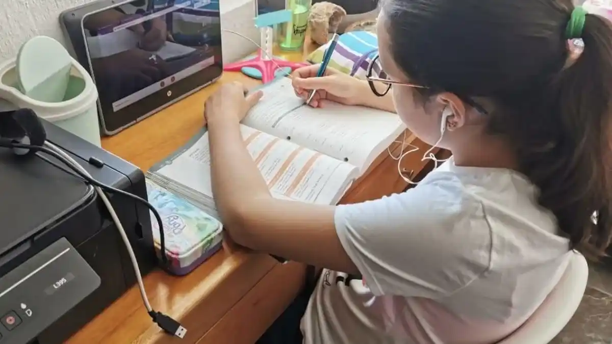 Clases virtuales: pros y contras desde la visión de una docente de secundaria