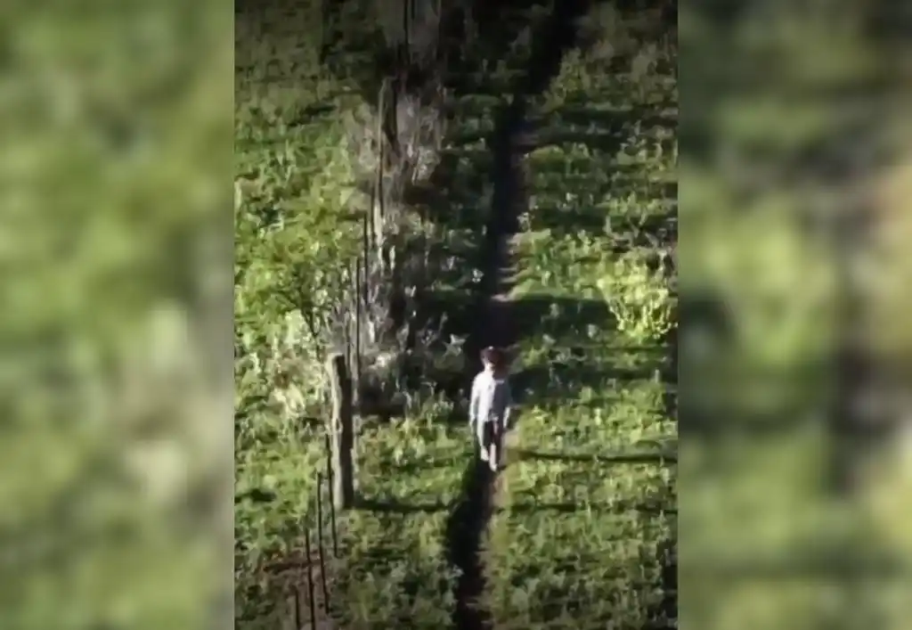 Encontraron a una nena perdida en La Pampa gracias al rastrillaje de un dron policial