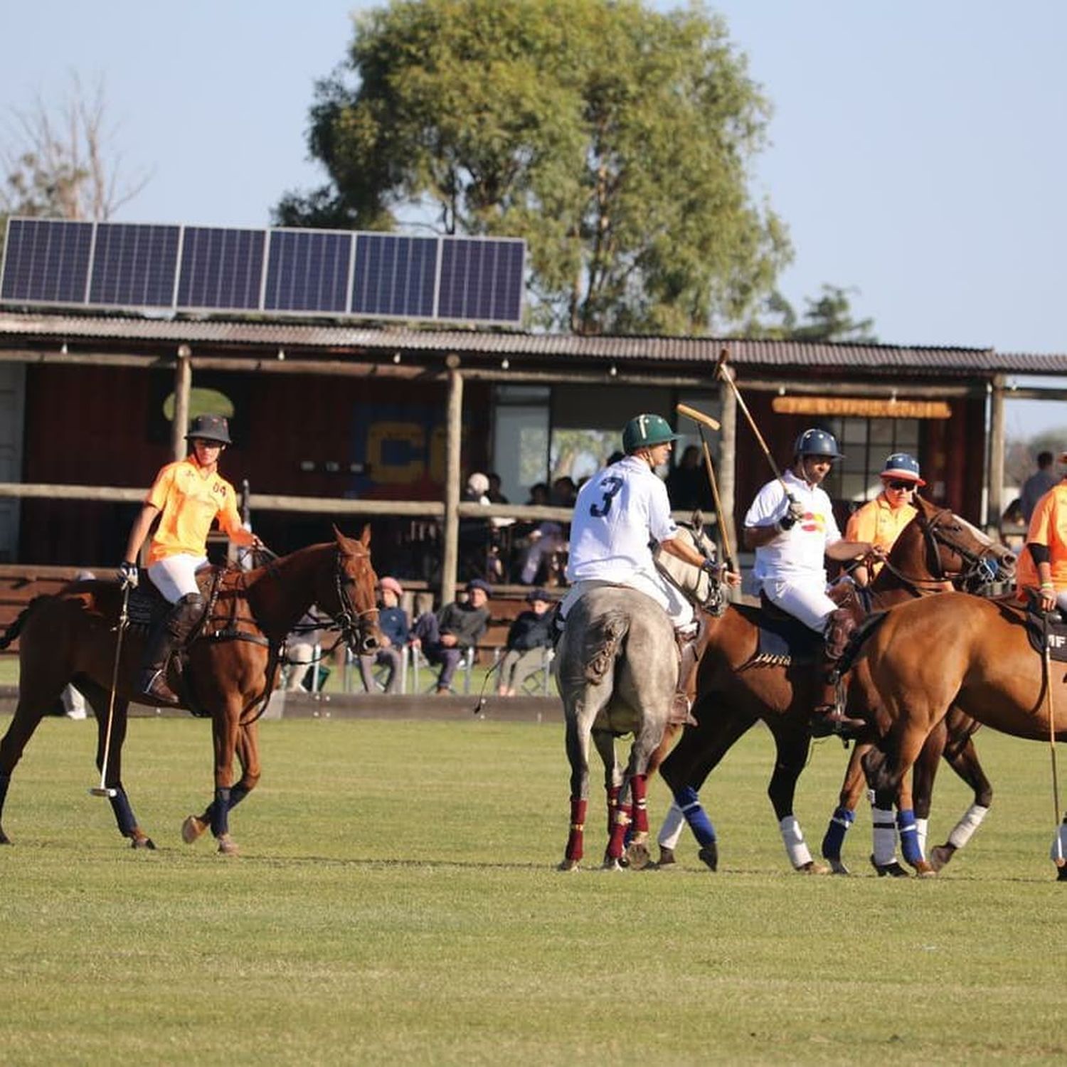 Se realizará el noveno torneo de polo en La Ilusión.