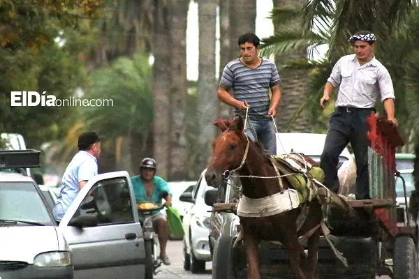 Encuesta: ¿Qué debe hacer el Estado con los carros a tracción a sangre?