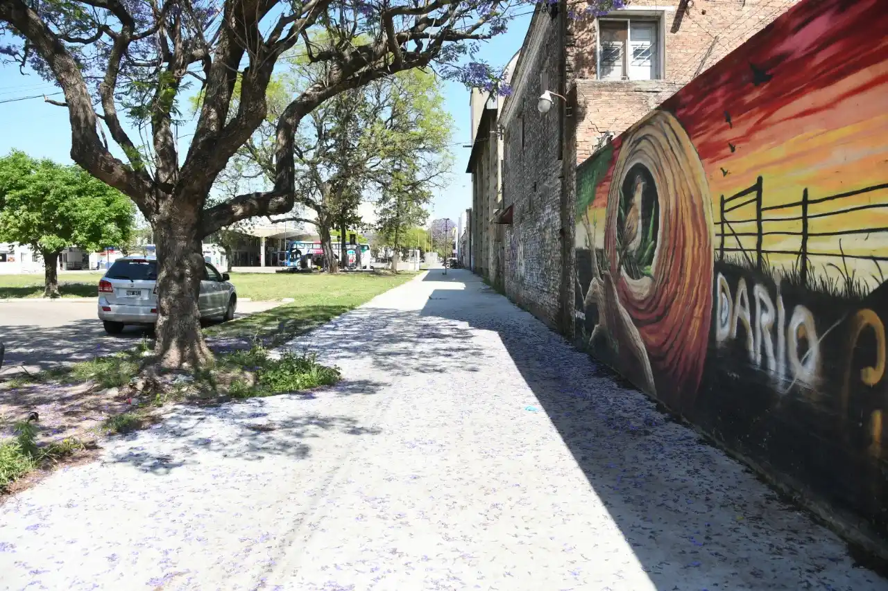 La obra en el Pasaje Cornaglia apunta a mejorar la conectividad y sumar un nuevo punto de atracción urbana.