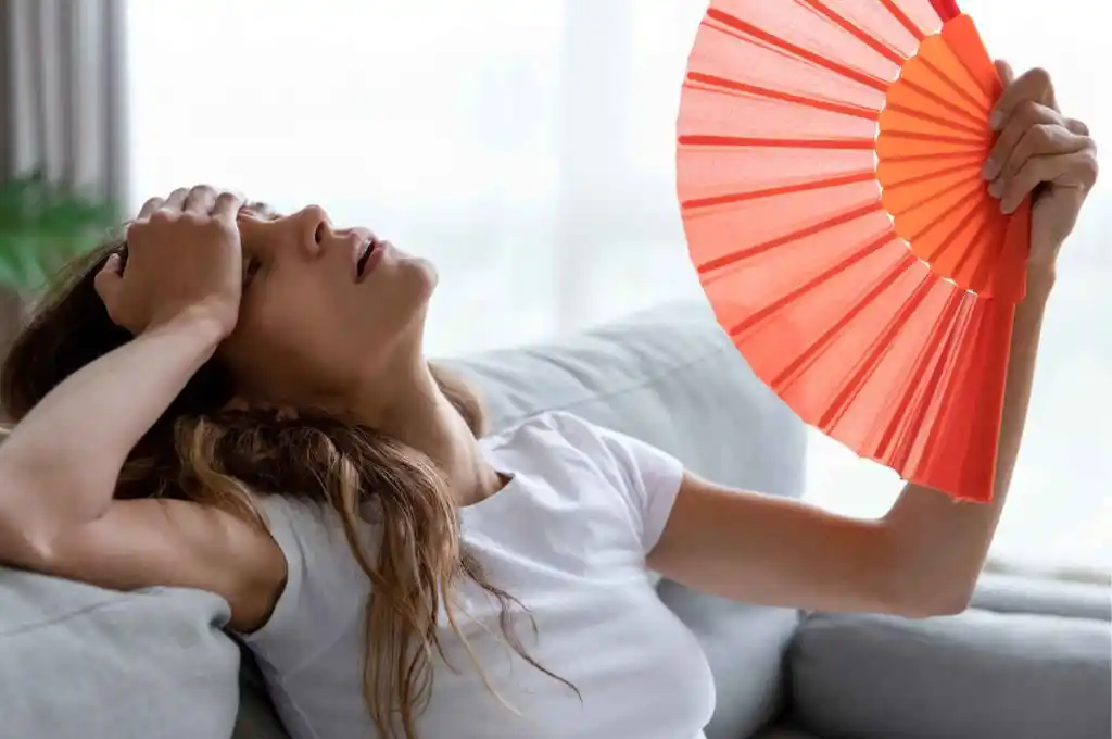 Los santafesinos sufrieron un apagón en el centro-norte provincial por problemas en alta tensión