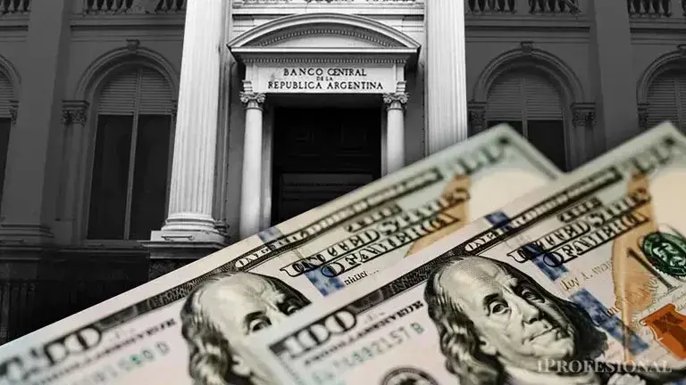 El Banco Central realizó una fuerte compra de dólares y acumuló 125 jornadas seguidas con saldo positivo