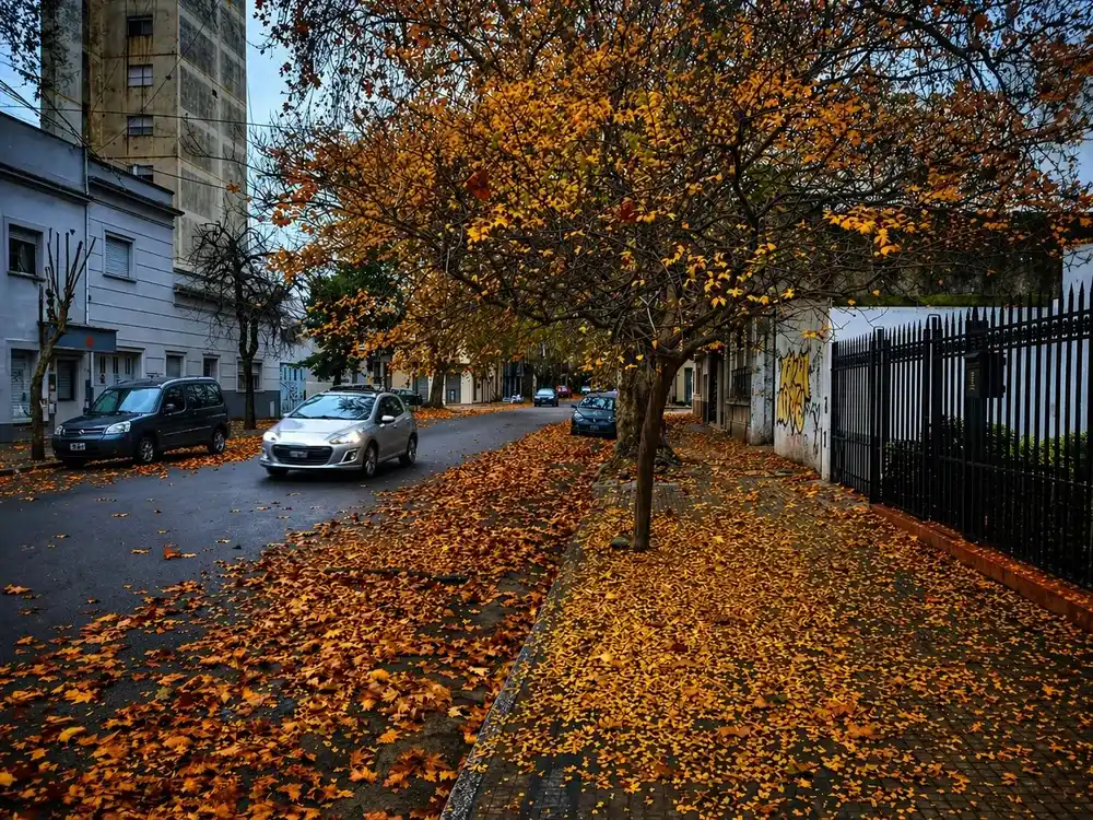 Con el otoño llegan los primeros fríos y las primeras preocupaciones.  DIB | Marcelo Metayer