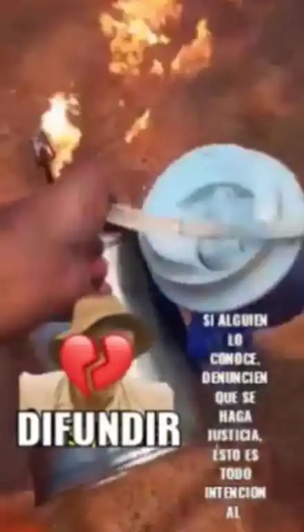 "Mirá el desastre que estoy haciendo": acusan a un joven de iniciar los incendios en Corrientes