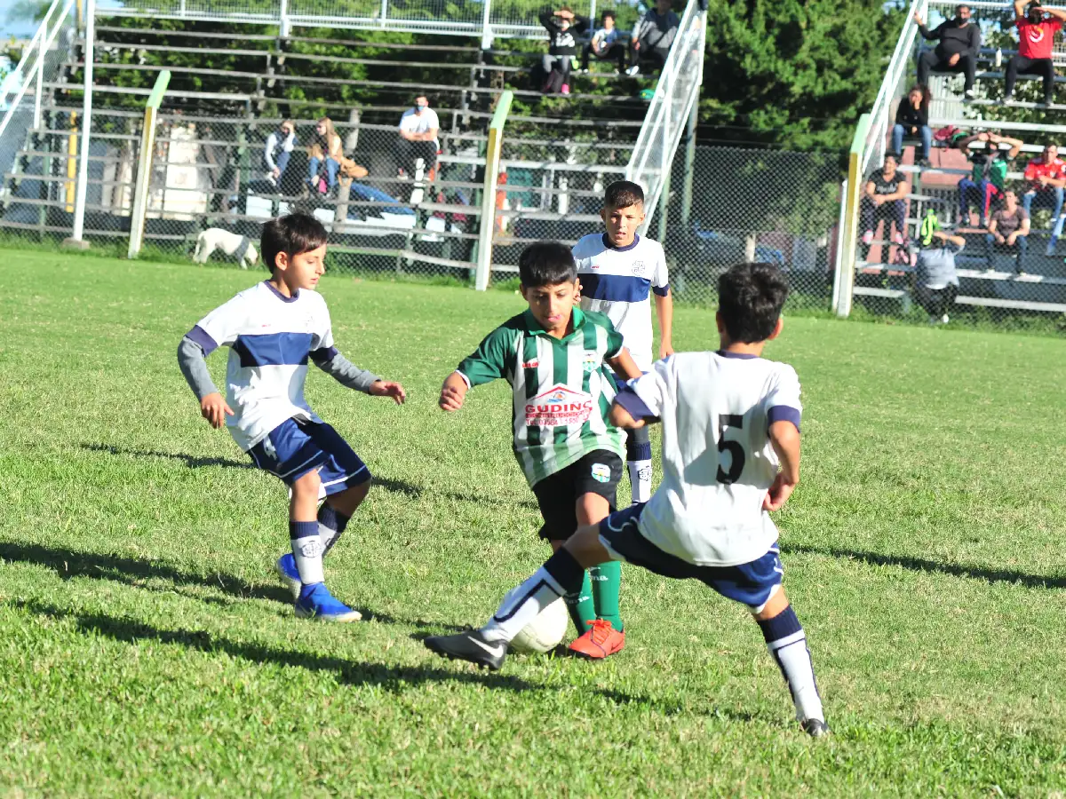 Sigue el Torneo Apertura