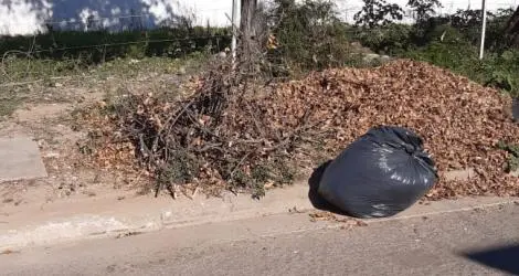Reclamo por vecinos que tiran basura en un terreno baldío