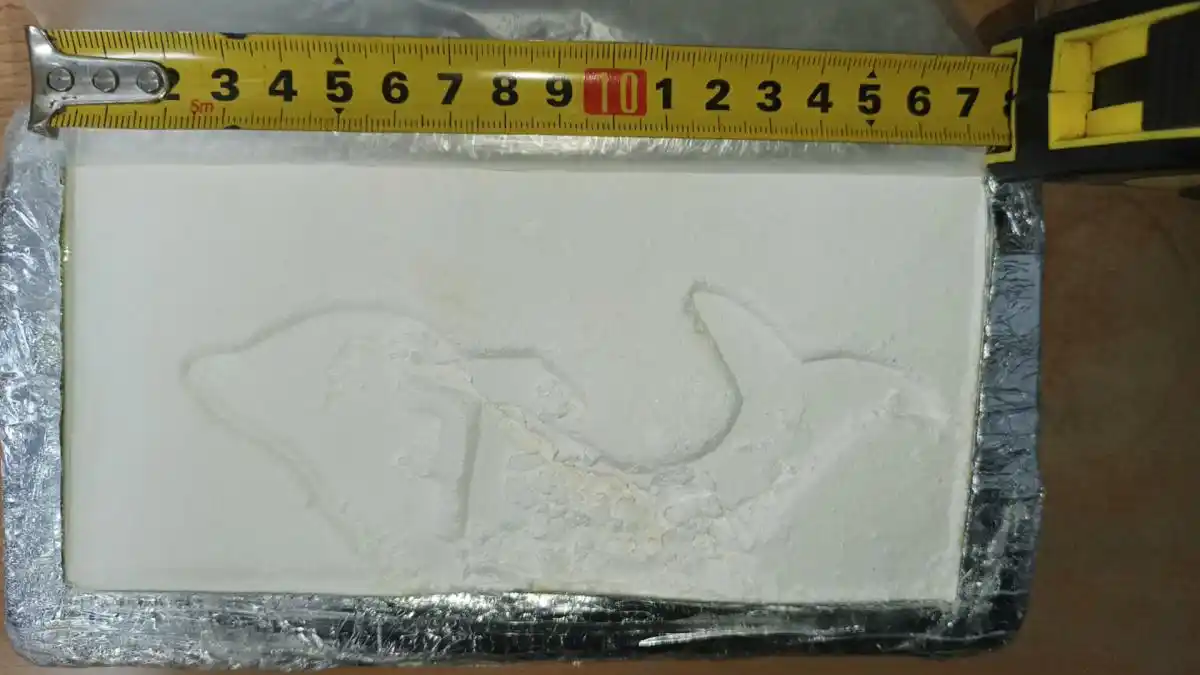 Detuvieron a cinco gendarmes por el faltante de más de 15 kilos de cocaína