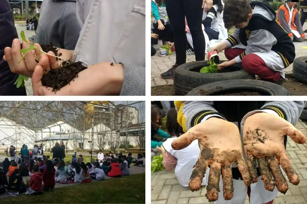 Por su labor medioambiental, una escuela argentina fue elegida entre las 10 mejores del mundo
