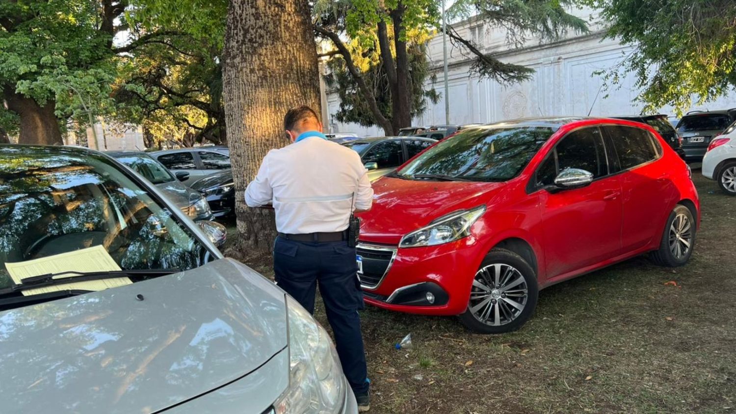 Árboles quemados, autos estacionados en el pasto, mugre y asados en el Parque Independencia por el partido Talleres-Banfield