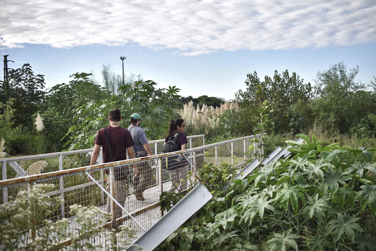 Construirán un mirador inclusivo en la Reserva Natural Urbana del Oeste en la ciudad de Santa Fe