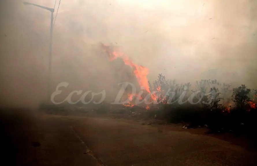 Incendio frente al Barrio Municipal