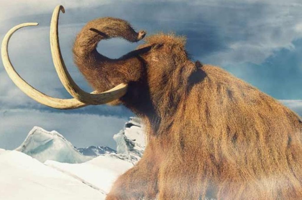 Planean tener las primeras crías de mamut lanudo para finales de 2028.