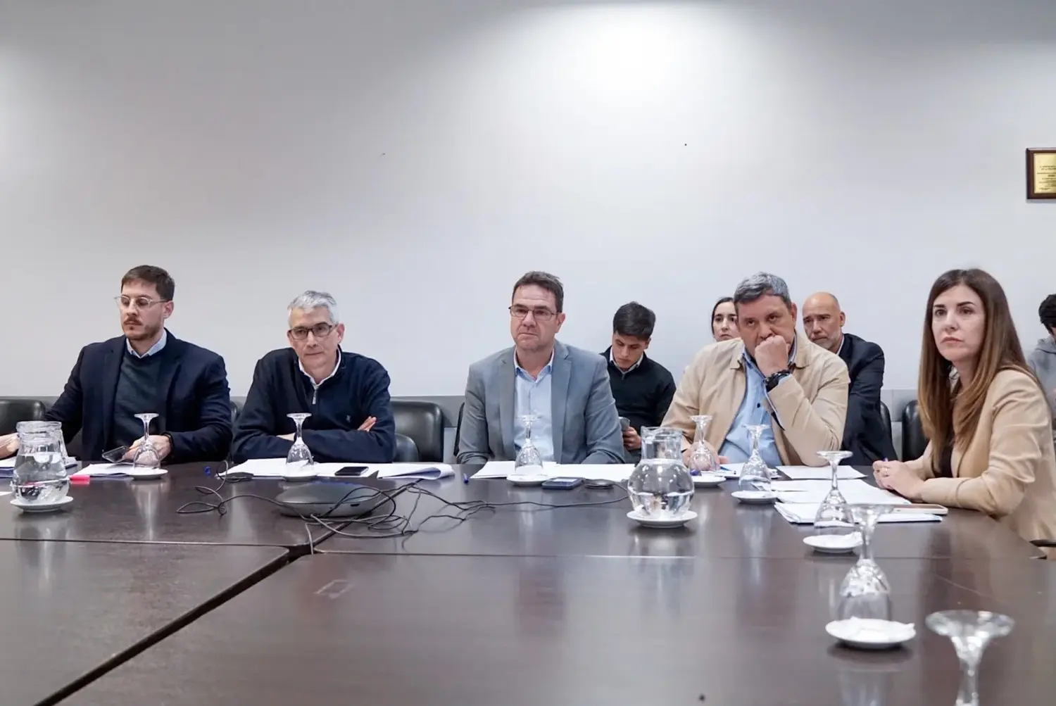 Luz verde a dictamen de proyecto que habilita a la policía a usar tasers