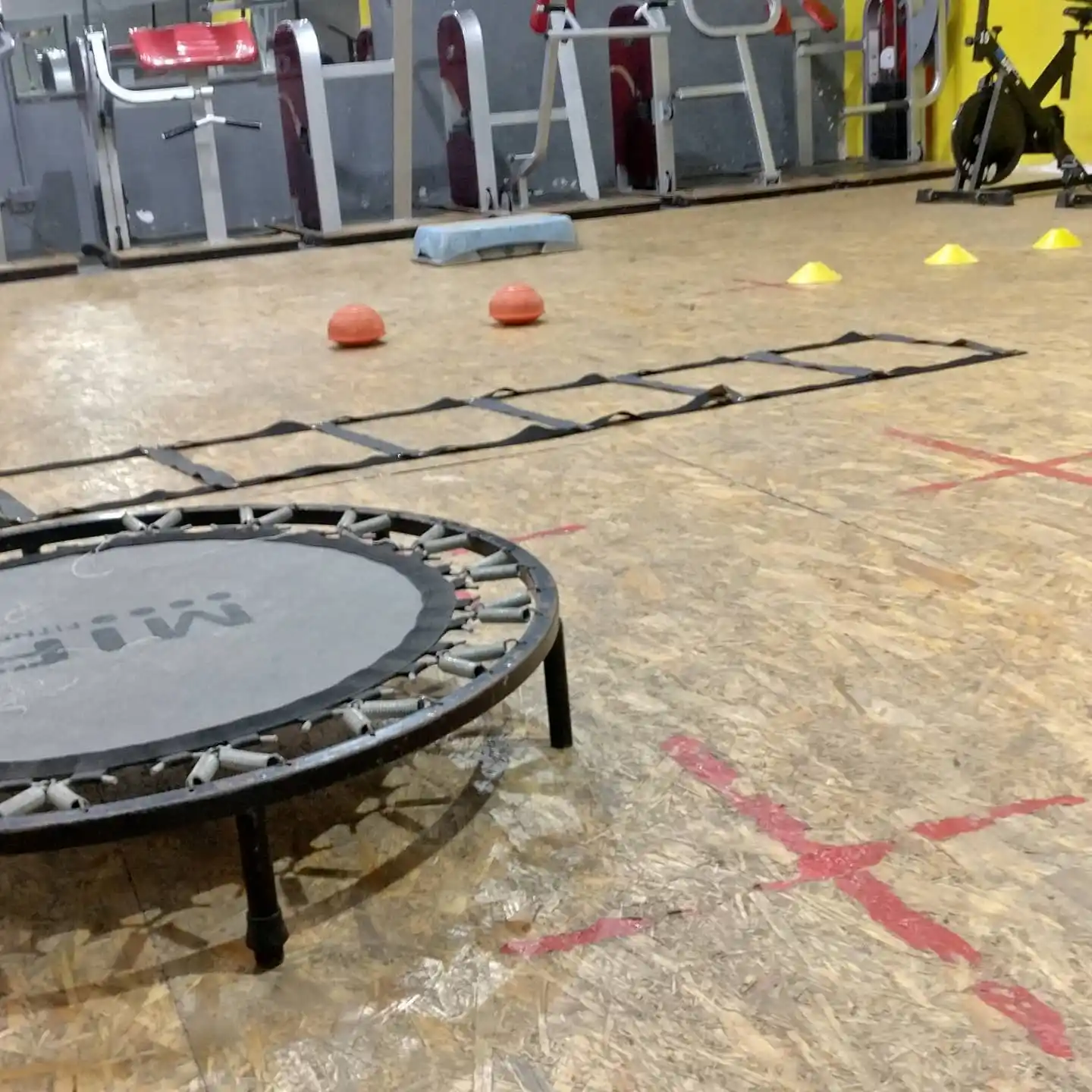 Dueños y empleados de gimnasios de Paraná se movilizan contra la prohibición de la actividad