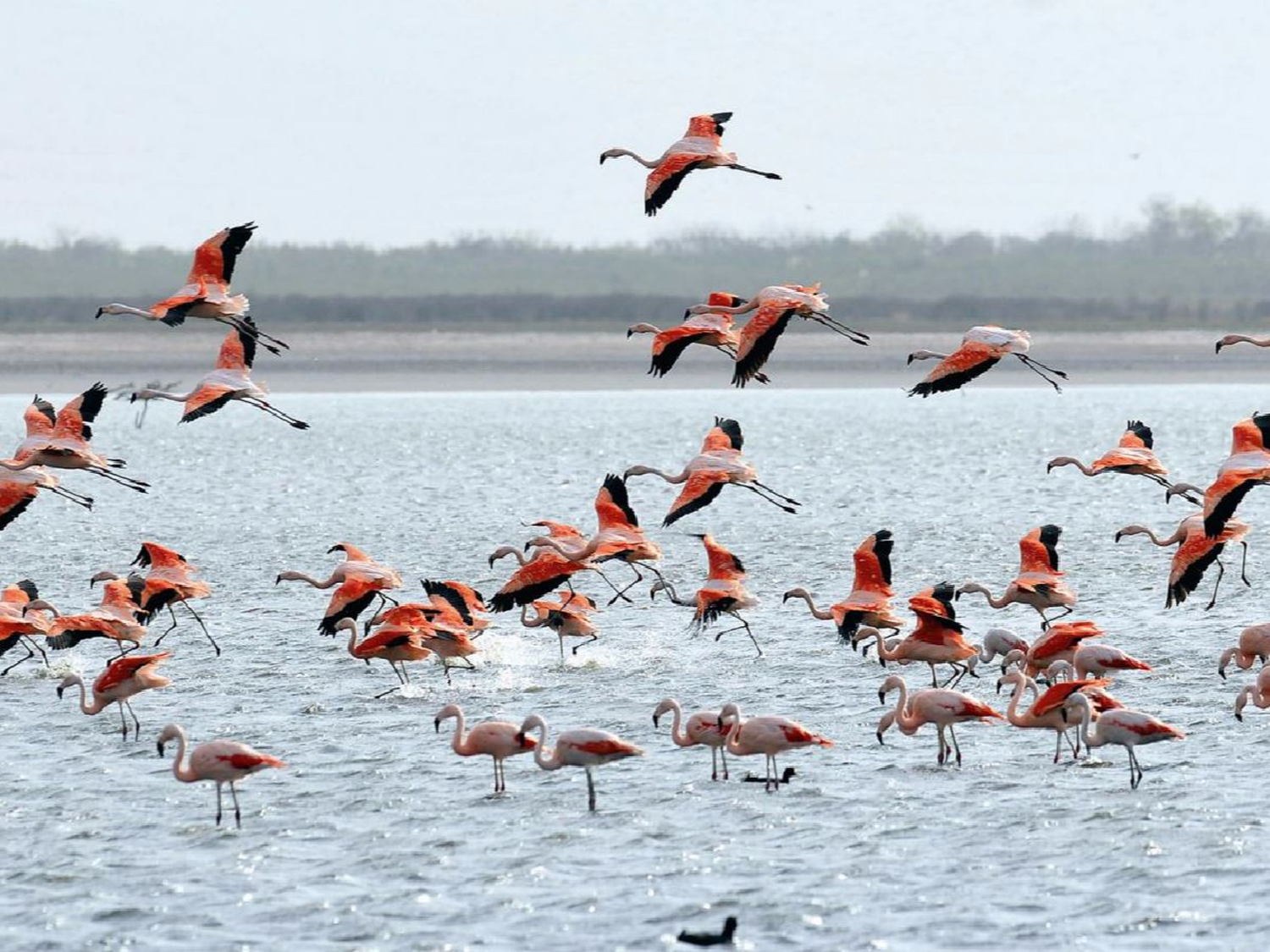 Parque Nacional Ansenuza: comienza el trabajo legal y técnico 