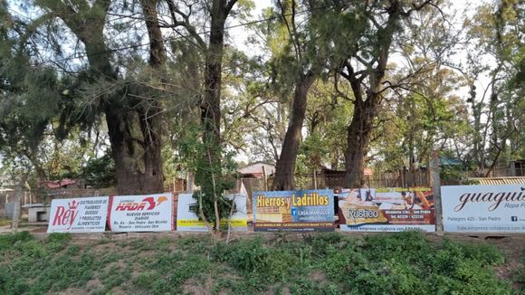 Dos menores de edad fueron detenidos por diferentes intentos de robo