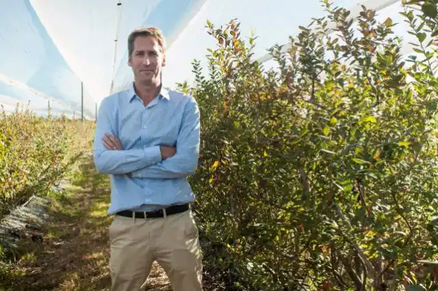 Productores de arándanos pidieron que se mantengan los 40 kilos por 8 horas de jornal