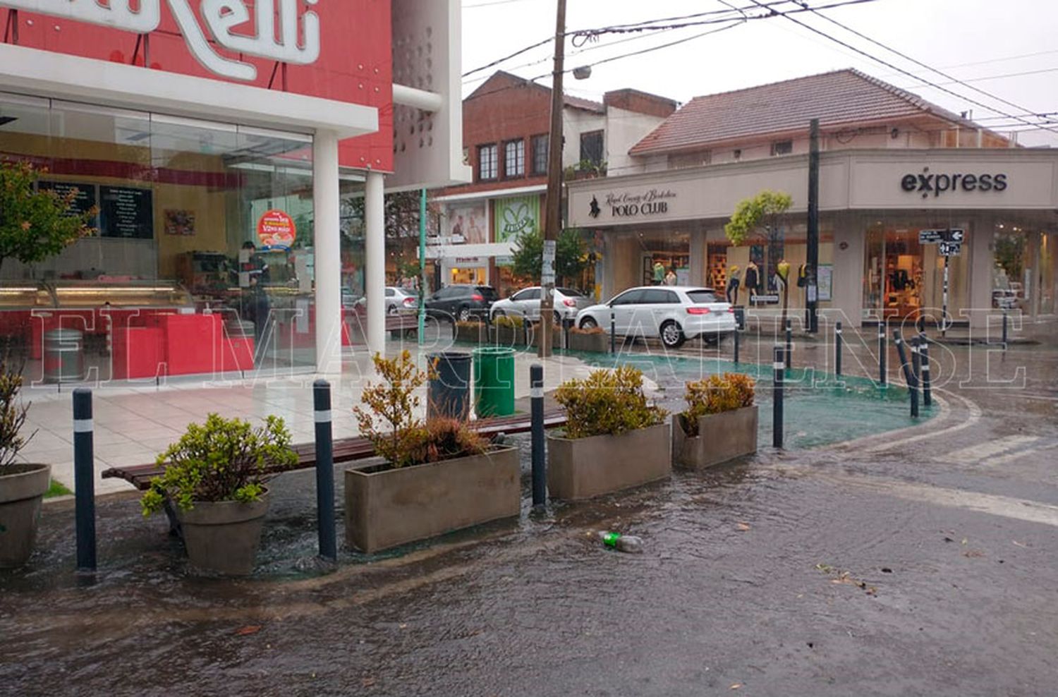 Se largó con todo: tormentas con lluvias intensas y ráfagas de viento en Mar del Plata