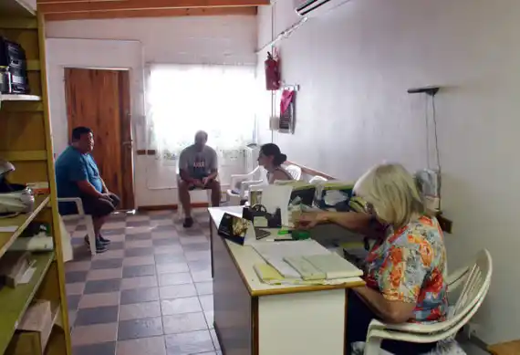 Con la pandemia, la cantidad de perros callejeros aumentó 