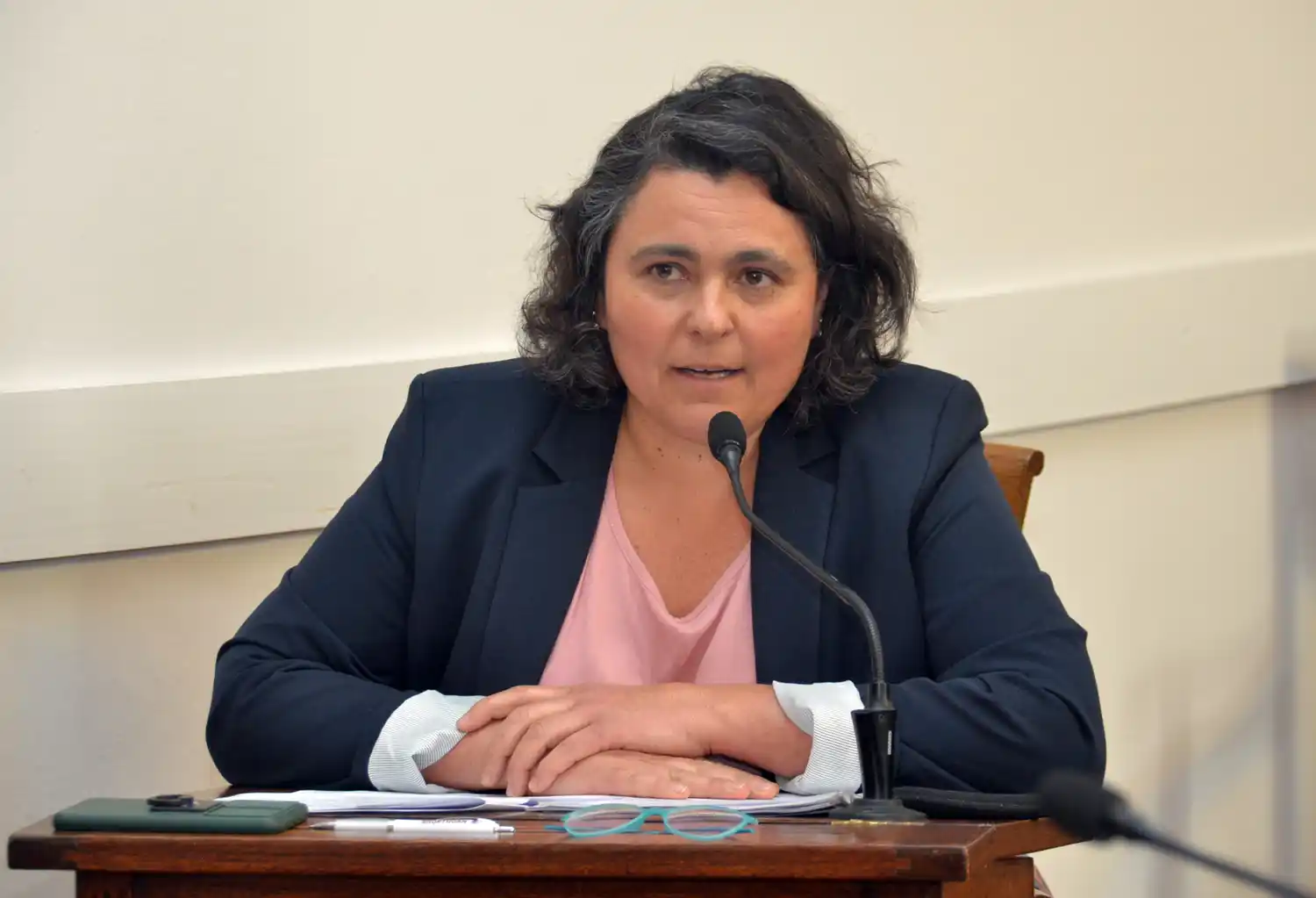 Los concejales del PRO presentaron un proyecto para evitar la publicidad engañosa en el turismo