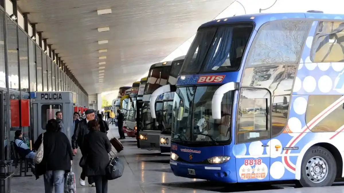 El Gobierno nacional desregula el transporte automotor de larga y media distancia