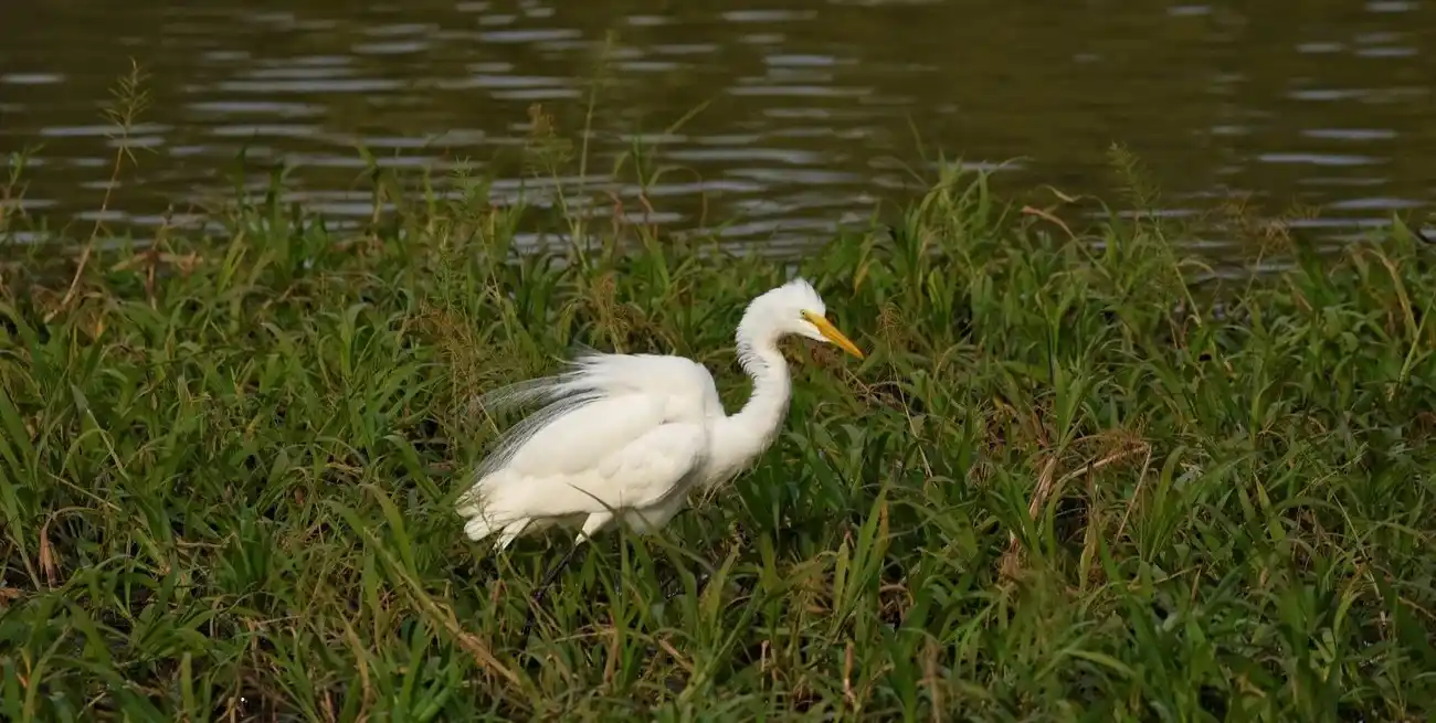 La naturaleza depura de forma gratuita y silenciosa los contaminantes pero su capacidad no es ilimitada.