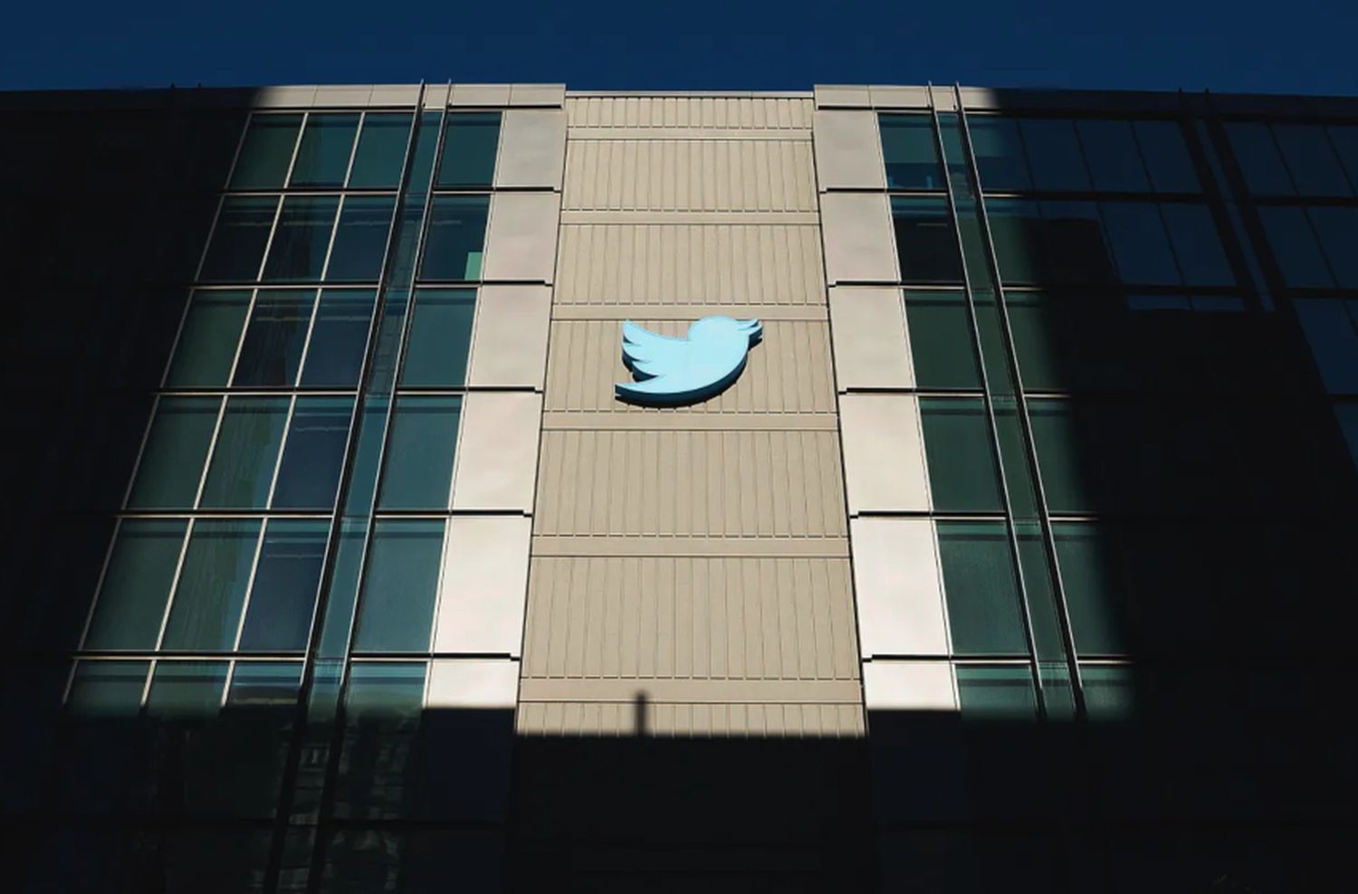 Renunciaron cientos de empleados de Twitter y peligra el futuro de la red social