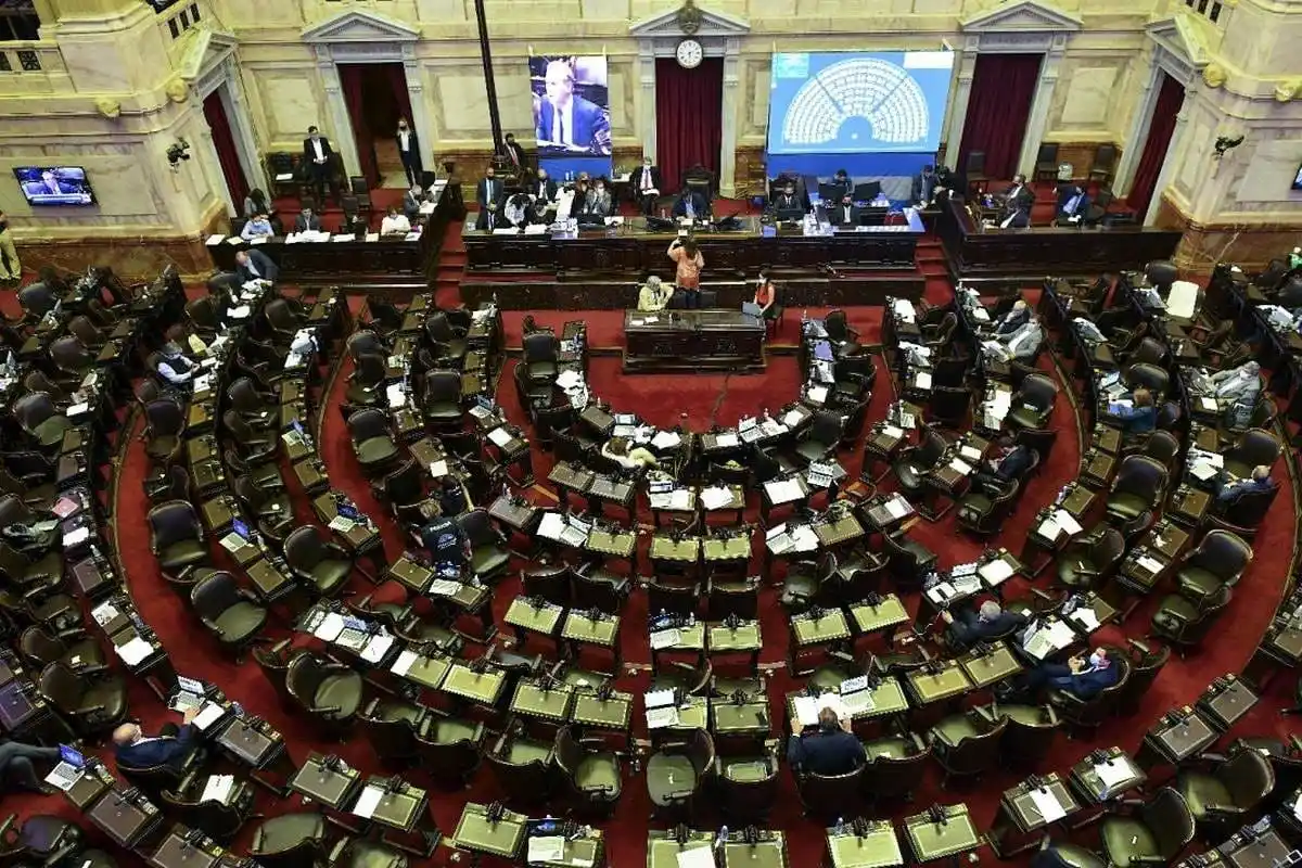 Comenzó la sesión en la Cámara de Diputados para debatir la legalización del aborto