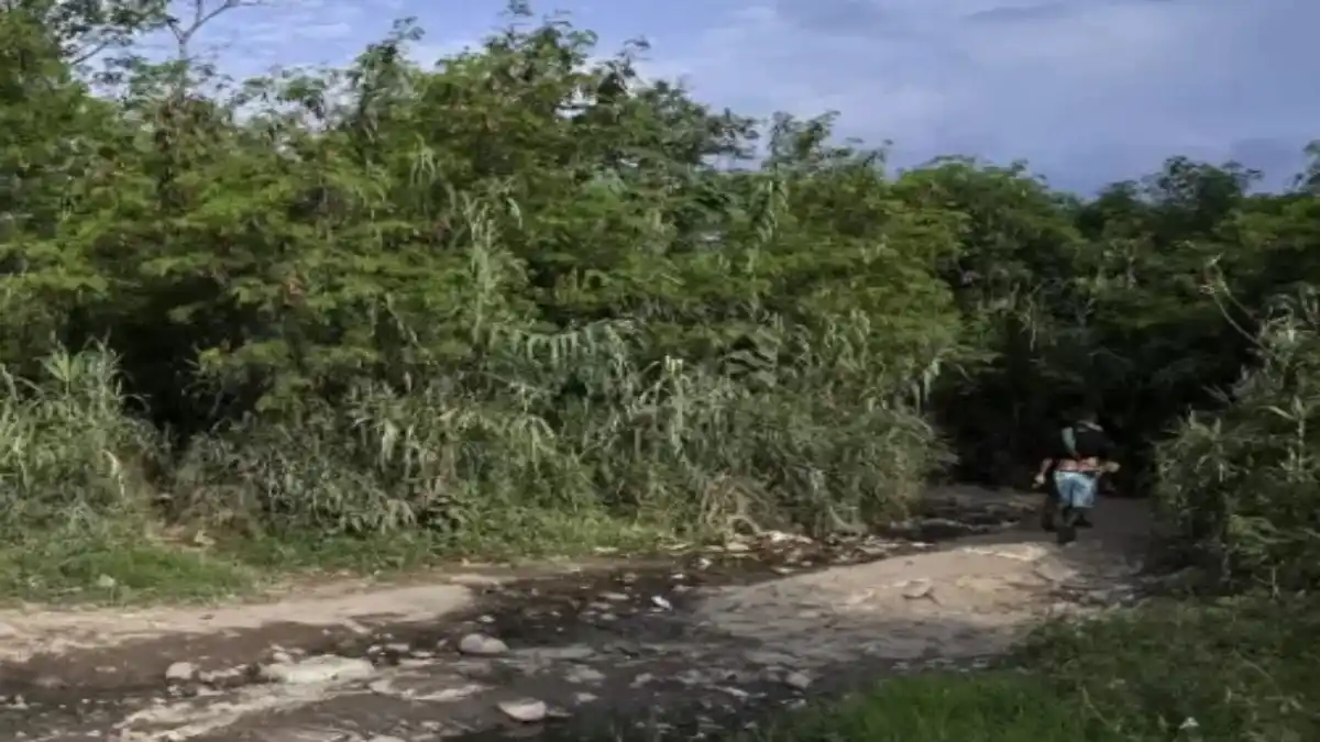 CON ATERRADOR MENSAJE: hallan descuartizado a un joven venezolano en Colombia