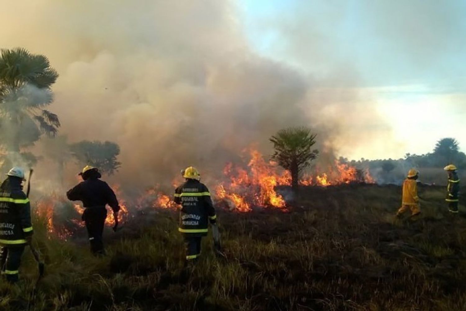 Preocupación en Corrientes por los numerosos incendios: se registraron 82 en la última semana