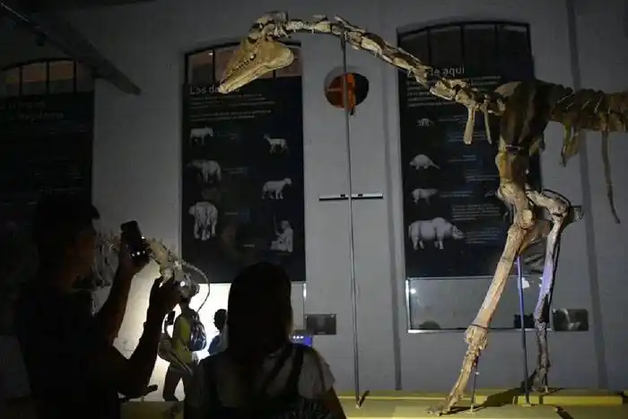 El Museo Antonio Serrano elegido para participar de la Factoría de Museos