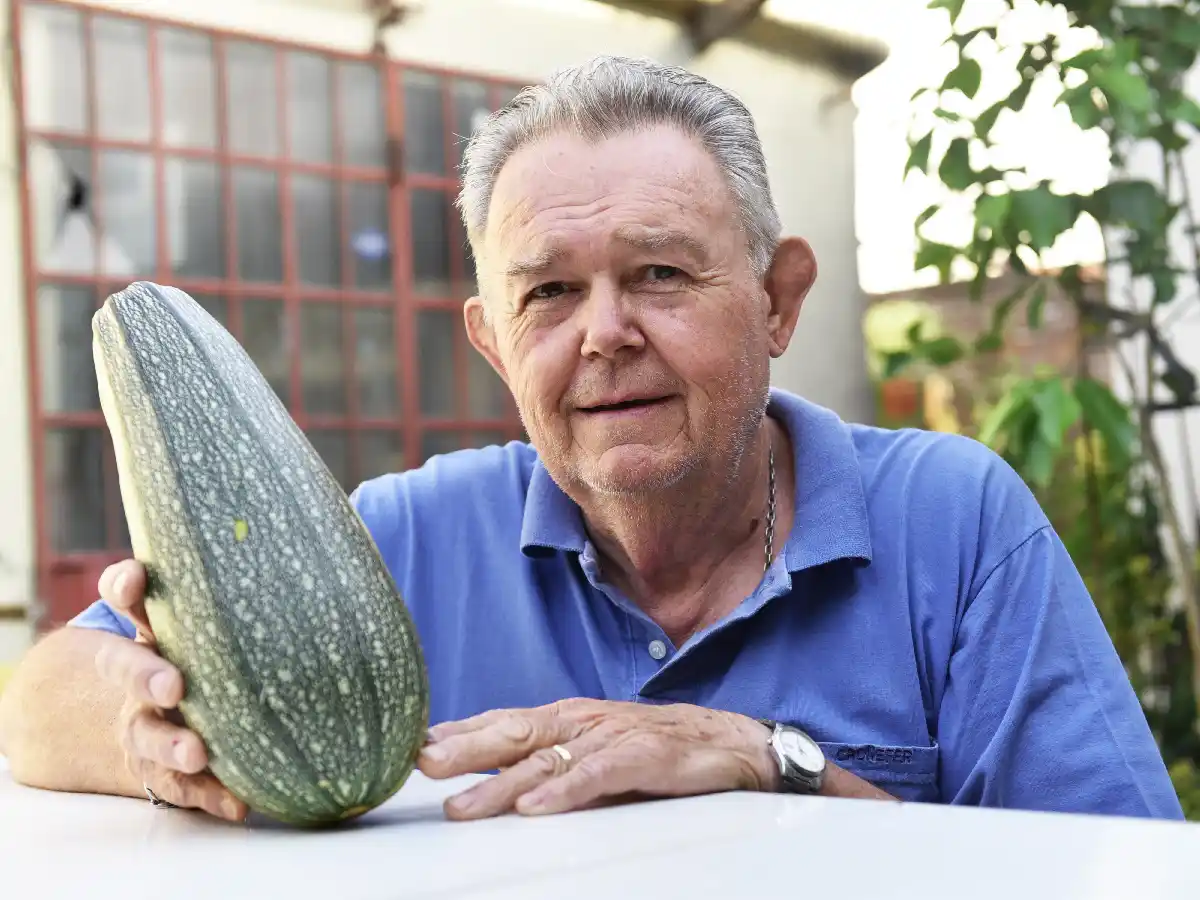 Zucchinis del tamaño de una botella de cerveza en barrio La Milka