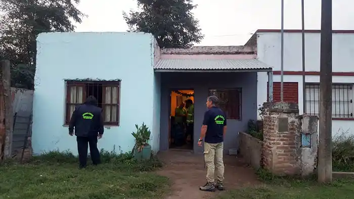 Desbaratan “vivero” en el que cultivaban droga, en Quequén