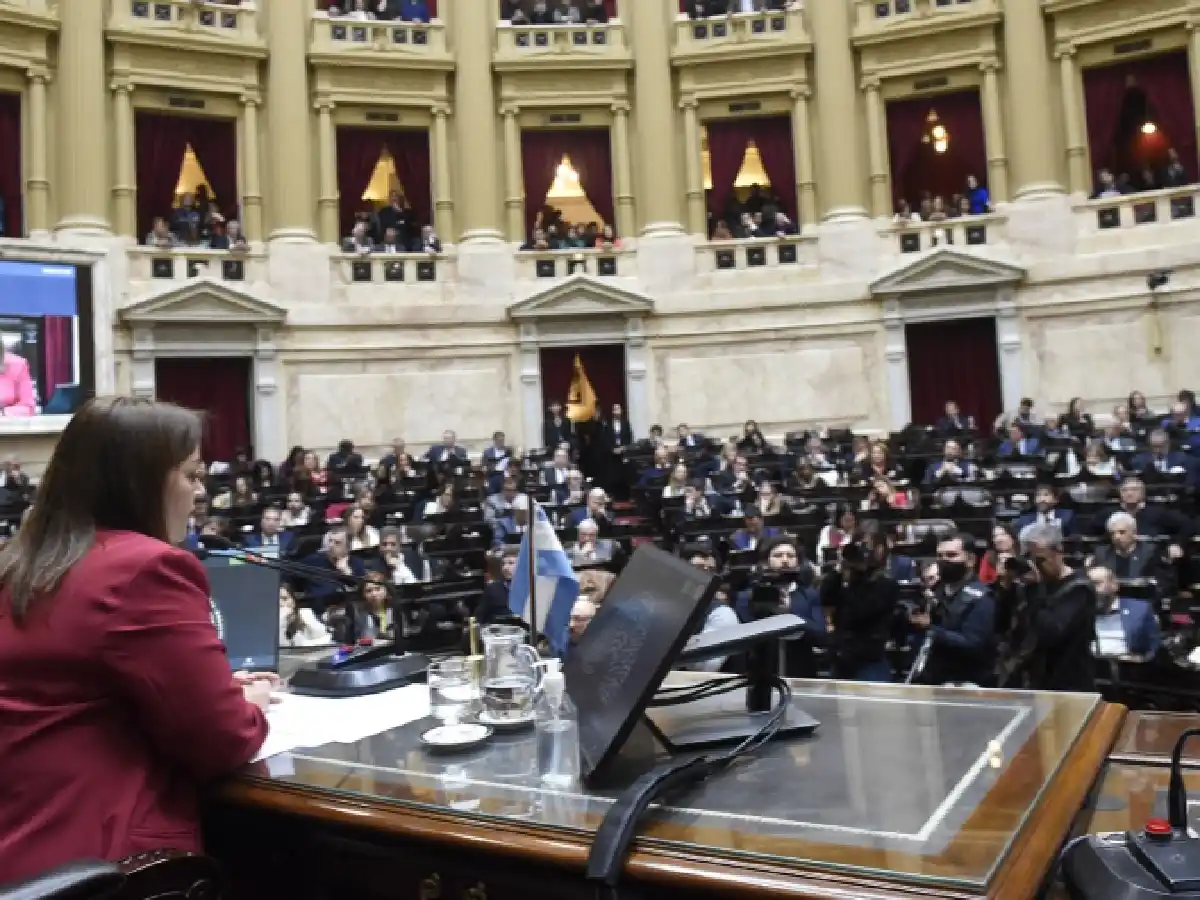 Diputados sesiona para repudiar el ataque contra la vicepresidenta
